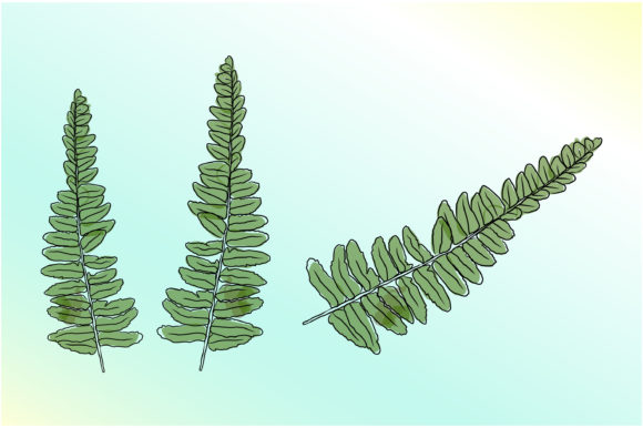 Elevating Interiors with Ferns Hand Drawing Art and Modern Boho Design