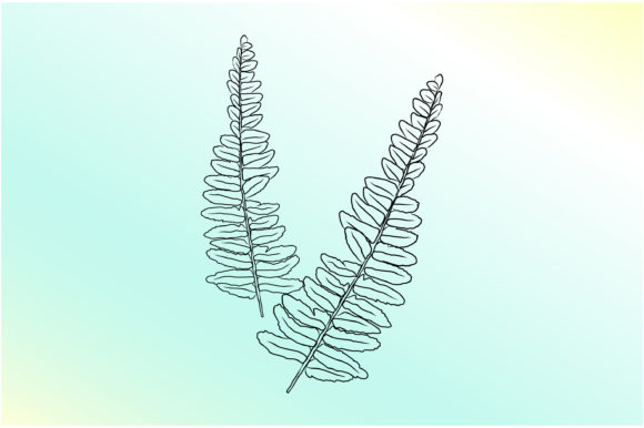 Ferns Hand Drawing Line Art: A Practical Resource for Modern Design