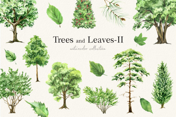 Green Trees and Leaves Clipart: Elevating Digital and Print Design with Watercolor Nature